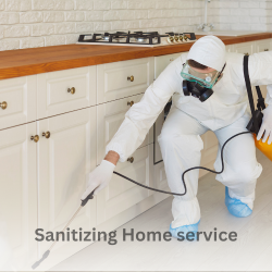 Sanitizing Service